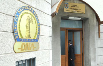 Fostul ministru Ţicău, audiată la DNA în dosarul Microsoft